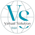 Virtual Solutions B&K